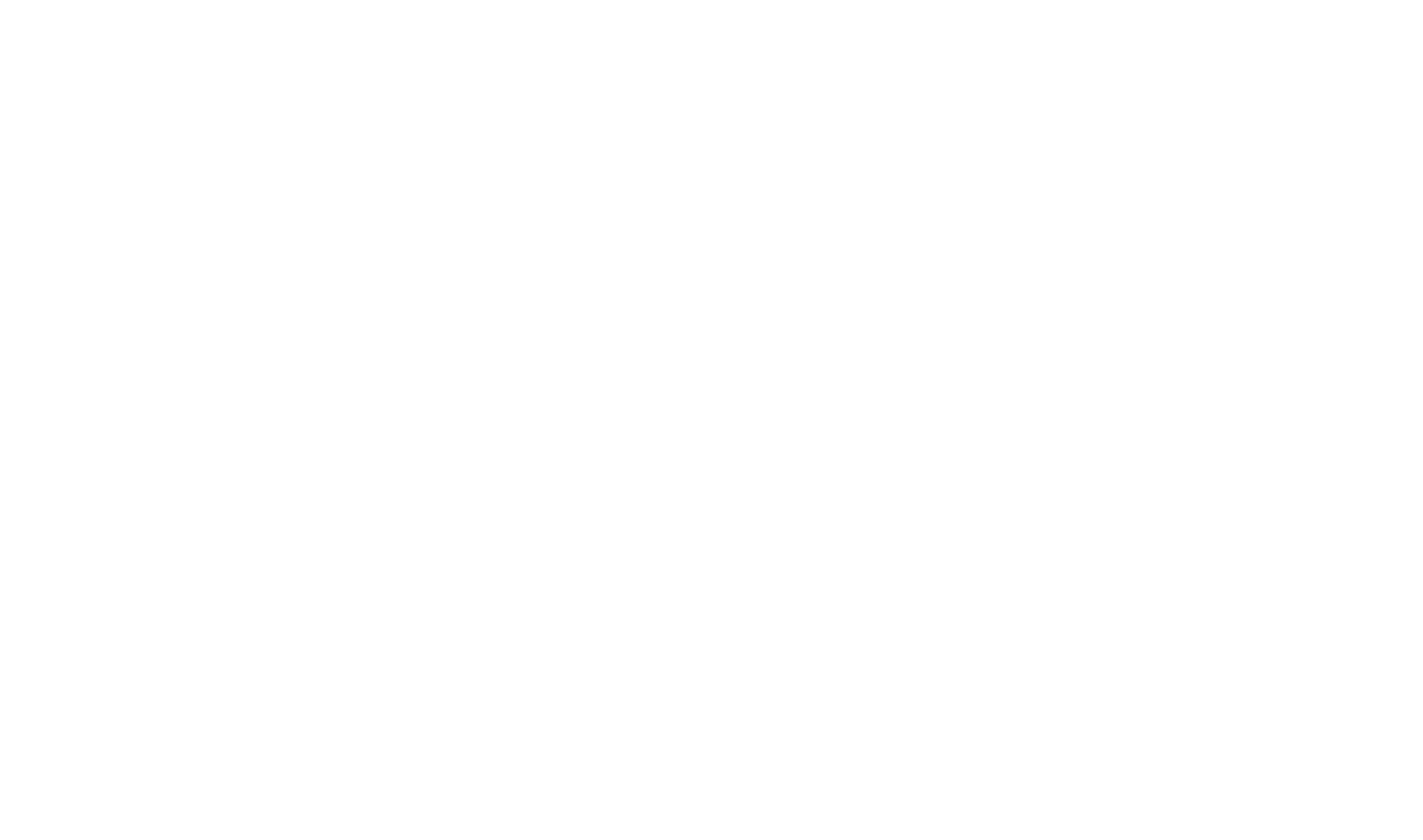 new-big-logo